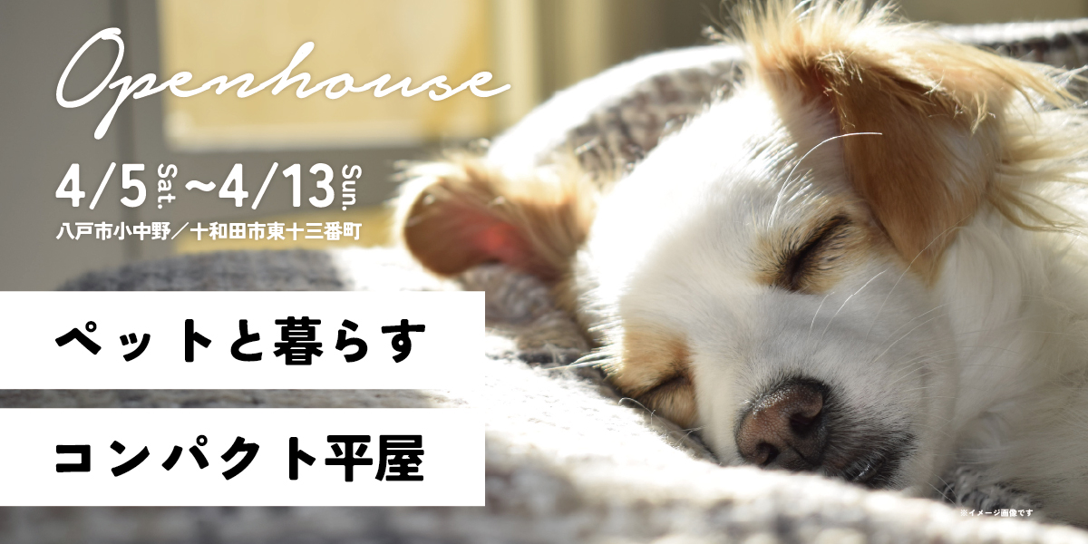 ペットと暮らす平屋~コンパクト平屋OPEN HOUSE
